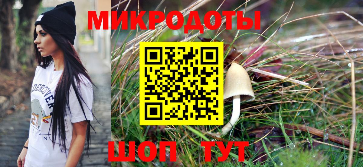 Каменск-Шахтинский  Псилоцибиновые грибы MAGIC MUSHROOMS  Вход с VPN 