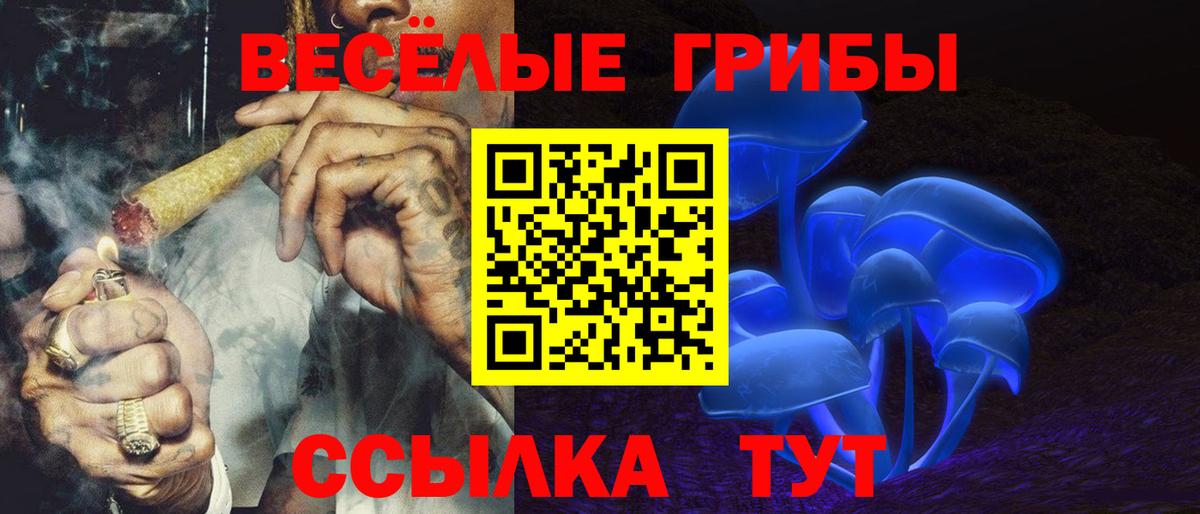 Псилоцибиновые грибы Psilocybine cubensis Каменск-Шахтинский